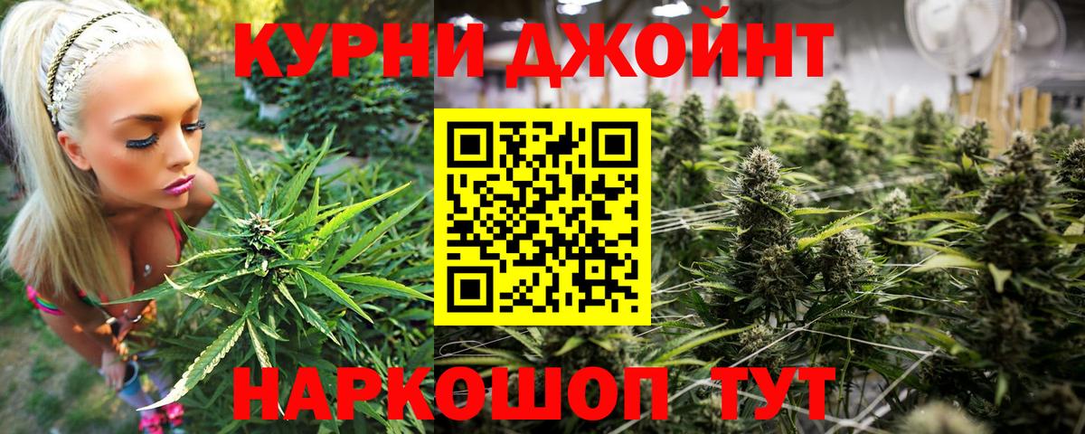 Конопля конопля  Марихуана план  Канабис тримм  Канабис конопля  Сердобск  Вход с VPN 